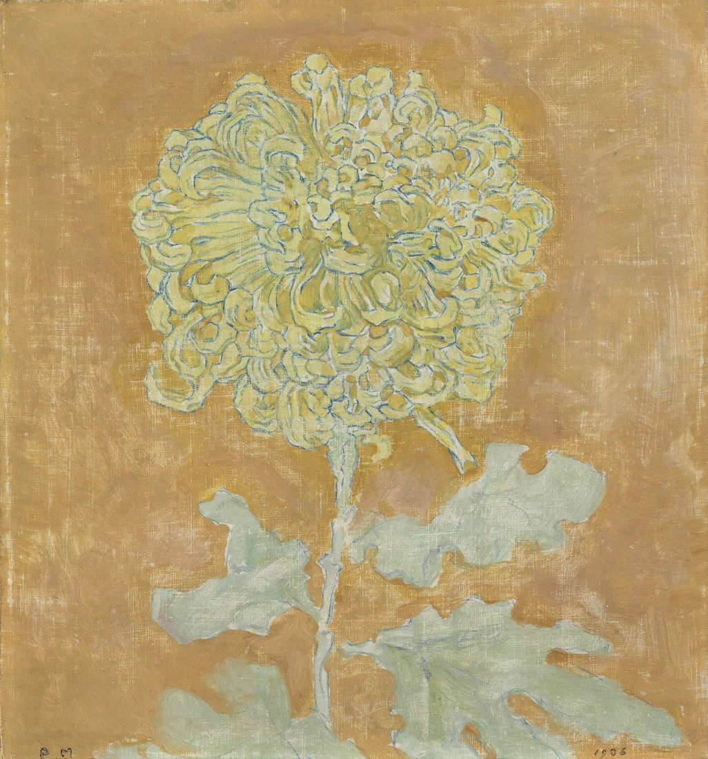 Chrysanthemum by Piet Mondrian, 1906–42 – art print
