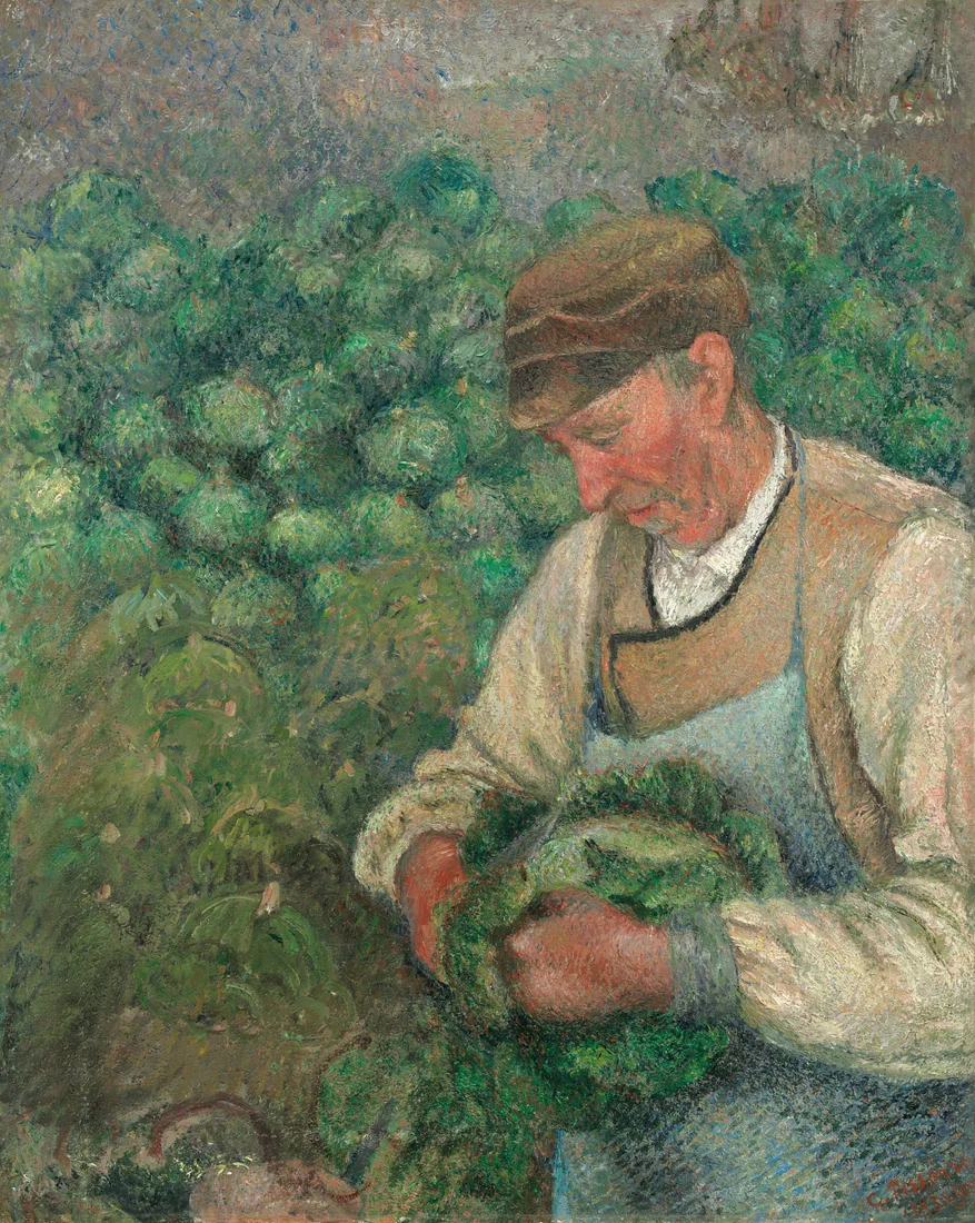 The Gardener (Old Peasant with Cabbage) by Camille Pissarro, 1883–95 – art print