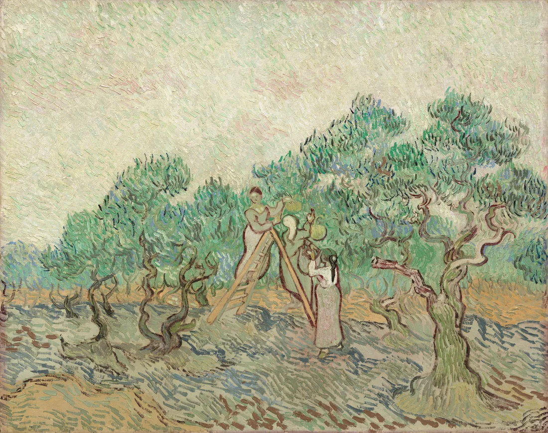 The Olive Orchard by Vincent van Gogh, 1889 – art print